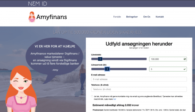 Amyfinans erfaringer og diskussioner 